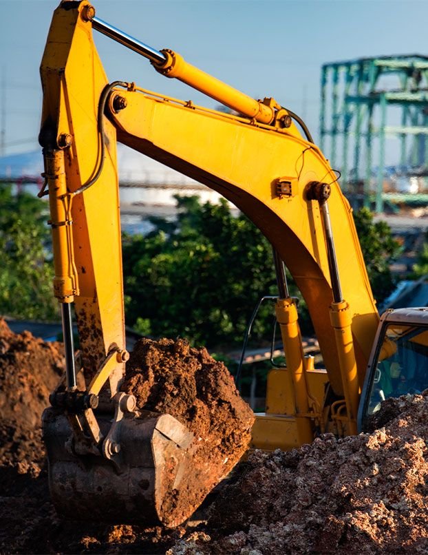 WhatsApp Image 2025-08-31 at 7.00.50 AM